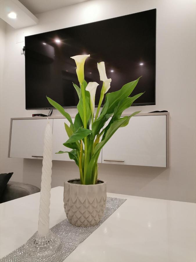 City Break Apartment 巴尼西卢卡 外观 照片